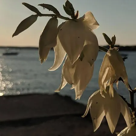 Croatia * Вир